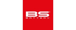 Mærke: BS Batteries